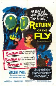 Illustrazione Return Of Fly