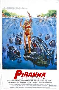 Illustrazione Piranha 02