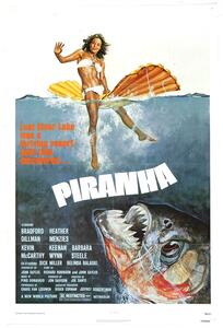 Illustrazione Piranha