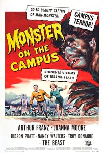 Illustrazione Monster On Campus