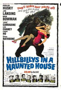 Illustrazione Hillbillys In Haunted House