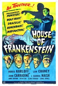 Illustrazione House Of Frankenstein