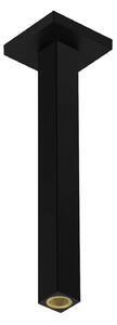 Hansgrohe Accessori - Braccio doccia a soffitto, 31 cm, nero opaco 24339670