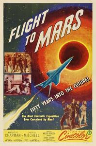 Illustrazione Flight To Mars