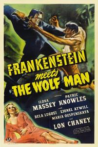 Illustrazione Frankenstein Meets Wolf Man