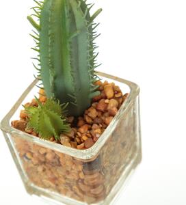 Piante artificiali in set da 6 (altezza 8 cm) Cactus - Casa Selección