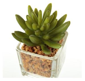 Piante artificiali in set da 6 (altezza 8 cm) Cactus - Casa Selección
