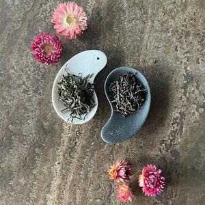 Cucchiaino da Tè in Ceramica Lin’s Ceramic Studio – colori assortiti - Nero
