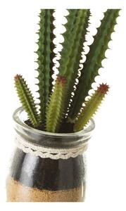 Piante artificiali in set da 4 (altezza 18 cm) Cactus - Casa Selección