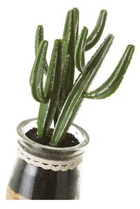 Piante artificiali in set da 4 (altezza 18 cm) Cactus - Casa Selección