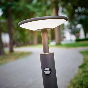 Lucande - Fenia LED Lampada LED da Giardino H60 con Sensore Antracite Lucande