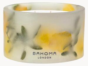 Candela profumata a tre stoppini fatta a mano Botanica (Pino, Agrumi, Cedro)