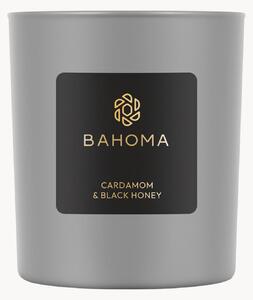 Candela profumata fatta a mano Ash (cardamomo, miele nero)