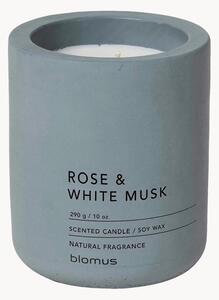 Candela profumata Fraga (Rosa e muschio bianco)