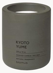 Candela profumata Fraga (Kyoto Yume)