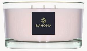 Candela profumata con tre stoppini fatta a mano (peonia vellutata e cashmere)