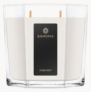 Candela profumata XL versata a mano Rose Mist (pulsante di rosa, mandarino)