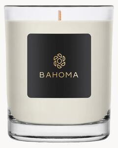 Candela grande fatta a mano in scatola regalo Alchemy (ambra, salvia)