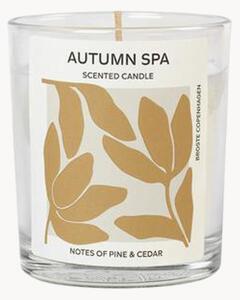 Candela profumata Autumn Spa (pino & cedro)
