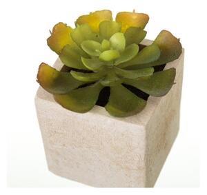 Piante artificiali in set da 6 (altezza 9,5 cm) Cactus - Casa Selección