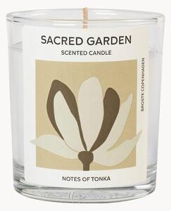 Candela profumata Sacred Garden (Tonka)