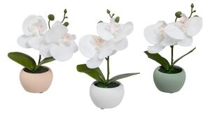 Piante artificiali in set da 3 (altezza 15 cm) Orchid - Casa Selección