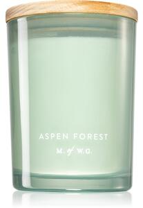 Makers of Wax Goods Aspen Forest candela profumata 420 g