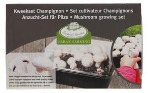Sala di coltivazione Field Mushroom - Esschert Design