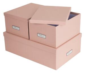 Scatole di cartone con coperchio in set da 3 pezzi Inge - Bigso Box of Sweden