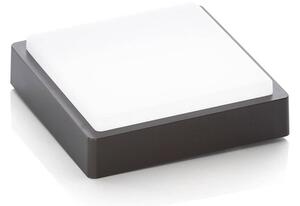 Lindby - Nermin Square LED Applique da Esterno IP65 Dark Grey/White Lindby