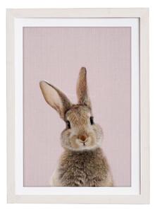 Quadro da parete in cornice Baby Rabbit, 30 x 40 cm Rose Baby Rabbit - Querido Bestiario