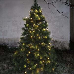 Catena luminosa con motivo natalizio numero di lampadine 160 pezzi lunghezza 200 cm Serie LED - Star Trading