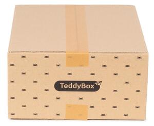 Set di 3 scatole portaoggetti beige Teddy, 35 x 15 cm - Compactor