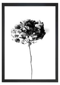 Poster 24x29 cm Velvet Flower - Tablo Center