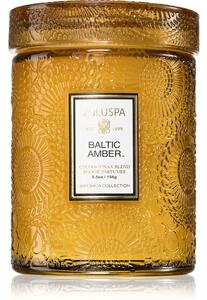 VOLUSPA Japonica Baltic Amber candela profumata 156 g