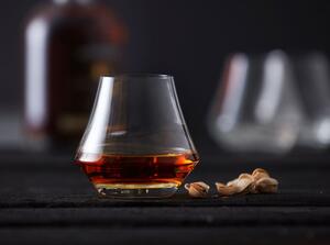 Set di 6 bicchieri da whisky da 290 ml Juvel - Lyngby Glas