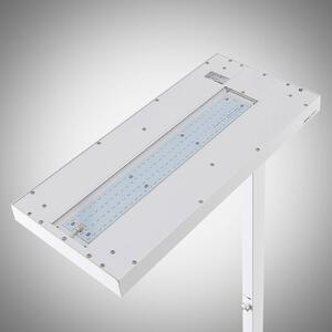 Arcchio LED piantana Logan Pro, bianco, sensore, dimmerabile