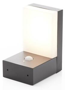 Lindby - Chioma LED Solcelle Applique da Esterno w/Sensor Dark Grey Lindby