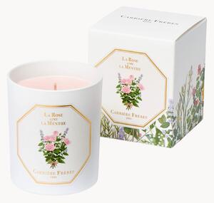 Candela profumata La Rose Aime La Menthe (floreale, fresca, tonificante)