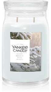 Yankee Candle Snow Kissed Pine candela profumata 567 g