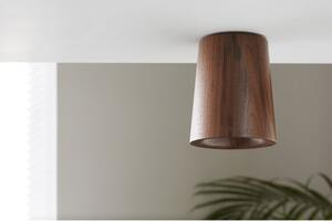 Terence Woodgate - Solid Downlight Cono Noce