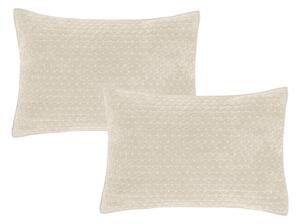 Federe decorative in set in velluto 2 pz 50x75 cm Attica Velvet Embroidered – Bianca