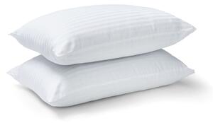 Cuscino 2 pz 48x74 cm Hotel Satin Stripe – Catherine Lansfield