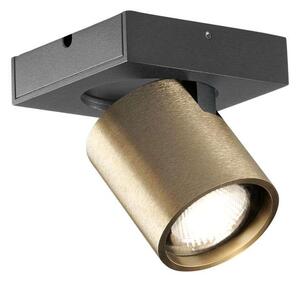 LIGHT-POINT - Focus Mini 1 LED Plafoniera 3000K Brass Light-Point