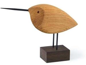 Beak Bird Awake Snipe Oak - Warm Nordic