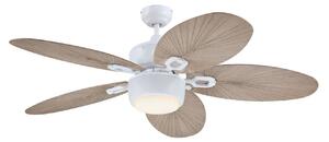 7316440 Ventilatore da soffitto con luce, grigio, silenzioso - Westinghouse Westinghouse, 7316440, Grigio, Soggiorno, Plastica