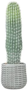 HOMCOM Cactus Artificiale 66 cm, Pianta Artificiale Decorativa con Vaso per Decorazione Interni Verde | Aosom Italy
