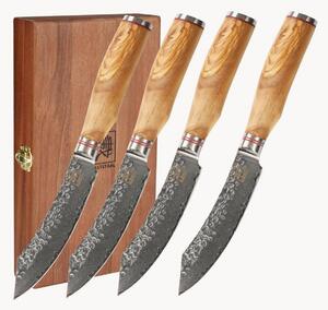 Set di 4 coltelli da bistecca Ilusion