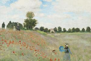 Riproduzione Wild Poppies near Argenteuil 1873, Claude Monet