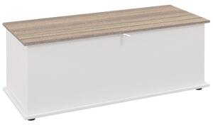 DecHome Cassapanca in Legno Panca Contenitore Dimensioni 100x40x40 cm colore Bianco